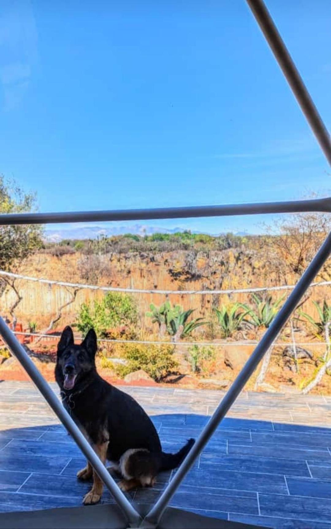 El Gato Glamping Con Vista A Prismas Basalticos Hotel Huasca de Ocampo Luaran gambar