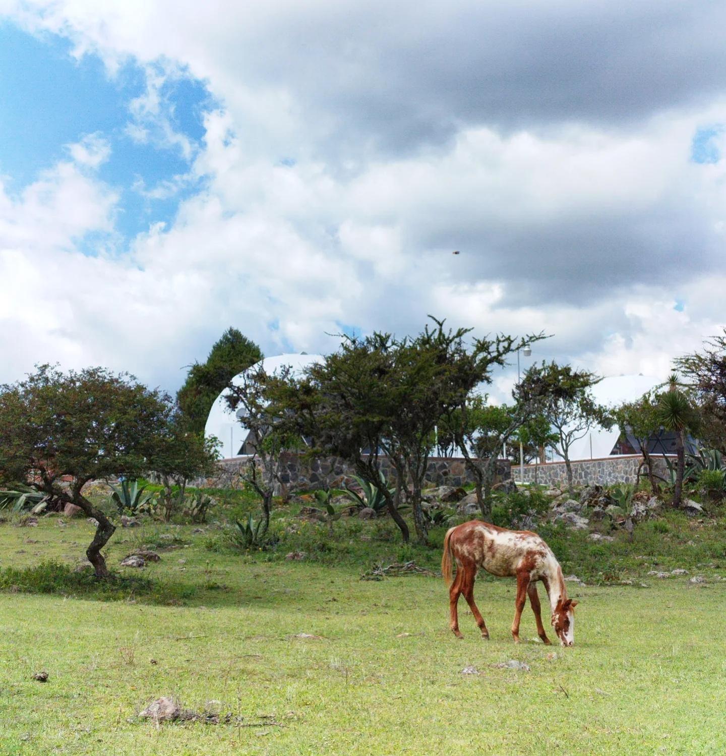 El Gato Glamping Con Vista A Prismas Basalticos Hotel Huasca de Ocampo Luaran gambar